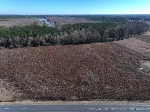 Wire Grass Road, Orrum, NC 28369 photo 6