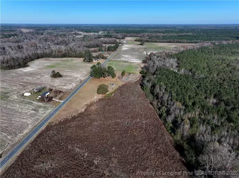 Wire Grass Road, Orrum, NC 28369 photo 5