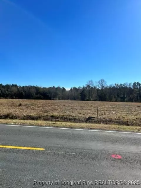 Wire Grass Road, Orrum, NC 28369 photo 5