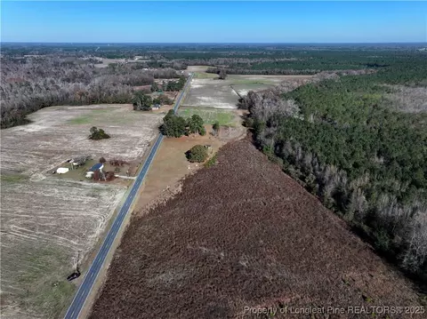 Wire Grass Road, Orrum, NC 28369 photo 4