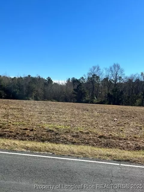 Wire Grass Road, Orrum, NC 28369 photo 6