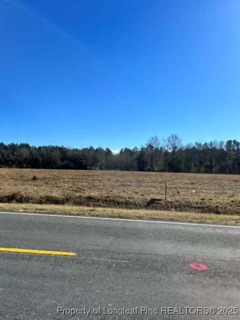 Wire Grass Road, Orrum, NC 28369 photo 5