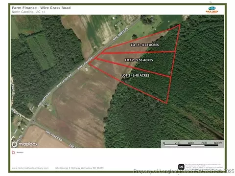 Wire Grass Road, Orrum, NC 28369 photo 9
