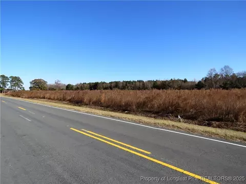 Wire Grass Road, Orrum, NC 28369 photo 7