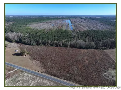 Wire Grass Road, Orrum, NC 28369 photo 2