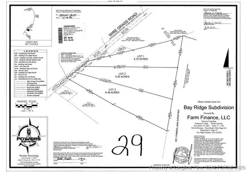 Wire Grass Road, Orrum, NC 28369 photo 8