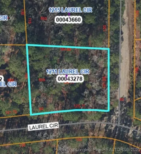 1211 Laurel Cir, Vass, NC 28394 photo 3