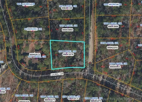 1211 Laurel Cir, Vass, NC 28394 photo 4