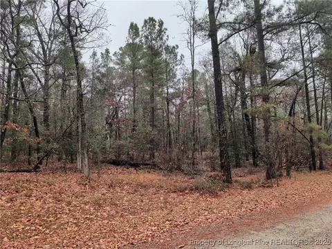1211 Laurel Cir, Vass, NC 28394 photo 2