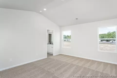 Other - 95 Laforce Ln, Broadway, NC 27505 photo 6 of 7