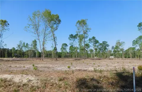 lot4 Nc 904 Hwy, Fairmont, NC 28340