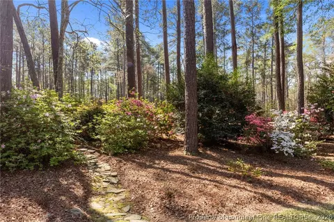 Exterior - 15740 Fox Ln, Wagram, NC 28396 photo 4 of 9