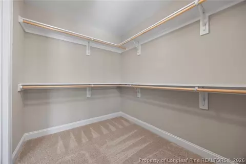 Other - 28880 Deercroft Dr, Wagram, NC 28396 photo 4 of 9