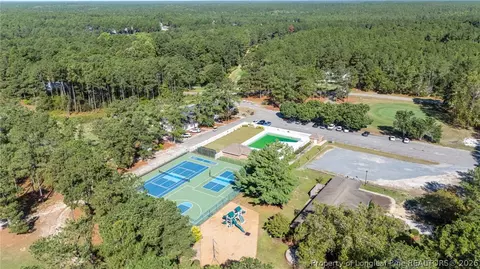 View/Area - 28880 Deercroft Dr, Wagram, NC 28396 photo 6 of 6