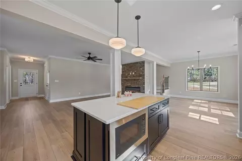 Other - 28880 Deercroft Dr, Wagram, NC 28396 photo 3 of 9