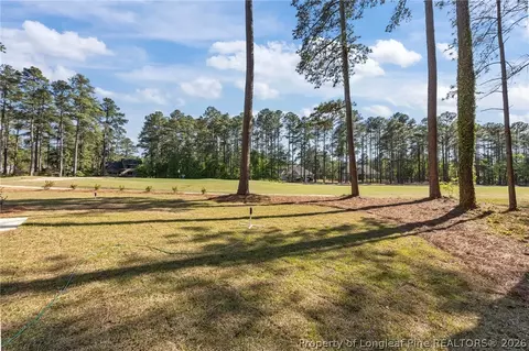 Exterior - 28880 Deercroft Dr, Wagram, NC 28396 photo 9 of 10