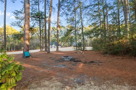 30181 E Lake Rd, Wagram, NC 28396 photo 8