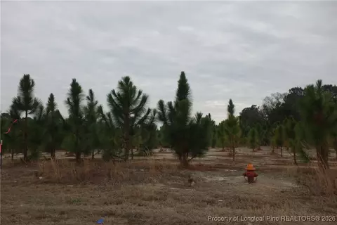 lot42 Stuarts Mill Rd, Fairmont, NC 28340