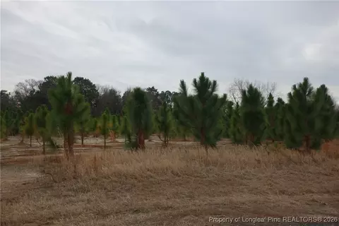 lot41 Stuarts Mill Rd, Fairmont, NC 28340
