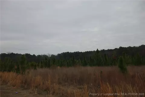 lot29 Stuarts Mill Rd, Fairmont, NC 28340