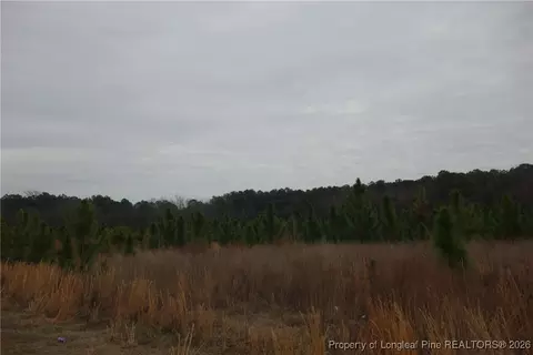 lot30 Stuarts Mill Rd, Fairmont, NC 28340