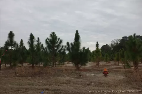 lot32 Stuarts Mill Rd, Fairmont, NC 28340