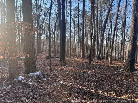 Oldham Lake Road, Sanford, NC 27330