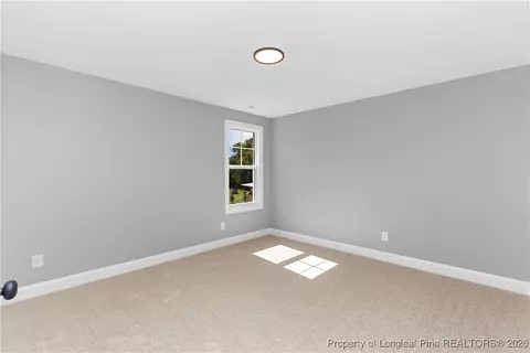 87 Croatoke Ct, Angier, NC 27501 photo 29