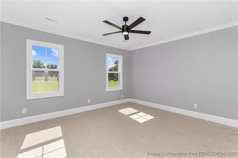 87 Croatoke Ct, Angier, NC 27501 photo 18