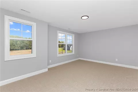 87 Croatoke Ct, Angier, NC 27501 photo 19