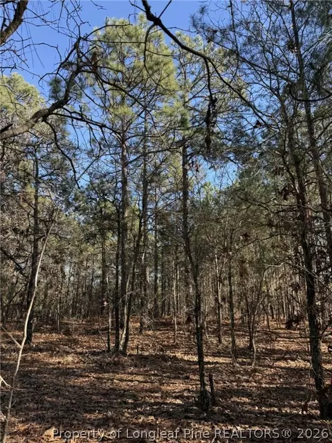 257 Lakeview Ln, Cameron, NC 28326