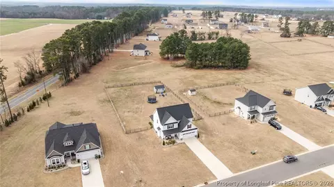View/Area - 159 Turkey Trot Ln, Raeford, NC 28376 photo 2 of 3
