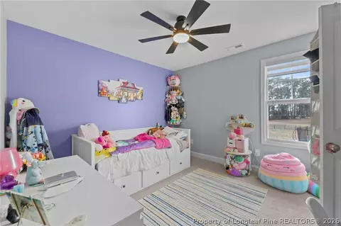 Other - 159 Turkey Trot Ln, Raeford, NC 28376 photo 7 of 12