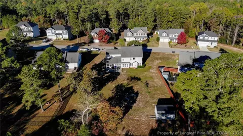 View/Area - 437 Spring Flowers Dr, Cameron, NC 28326 photo 2 of 2