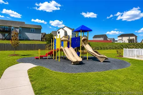 View/Area - 334 Crane Way, Bunnlevel, NC 28323 photo 1 of 1