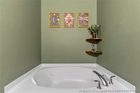 Bath - 334 Crane Way, Bunnlevel, NC 28323 photo 6 of 6