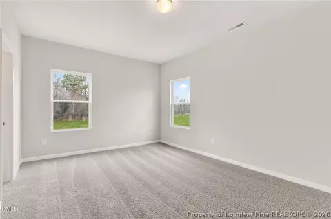 Other - 103 Rubyfield Ct, Fremont, NC 27830 photo 7 of 10