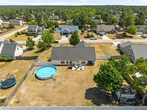 View/Area - 20 Turkey Oak Cir, Bunnlevel, NC 28323 photo 1 of 6