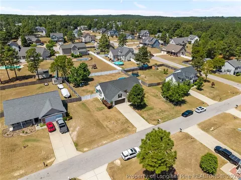 View/Area - 20 Turkey Oak Cir, Bunnlevel, NC 28323 photo 2 of 6