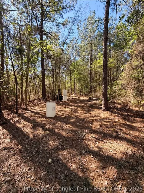 Clark Road, Maxton, NC 28364 photo 16