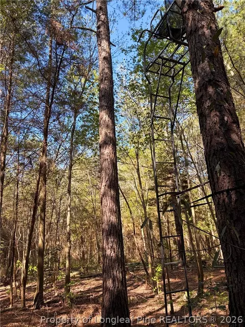 Clark Road, Maxton, NC 28364 photo 3