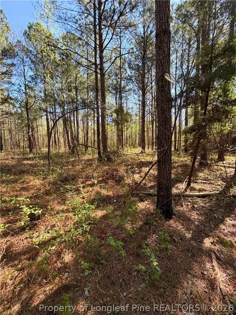 Clark Road, Maxton, NC 28364 photo 14