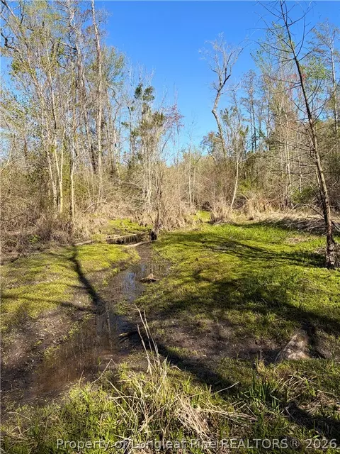 Clark Road, Maxton, NC 28364 photo 8