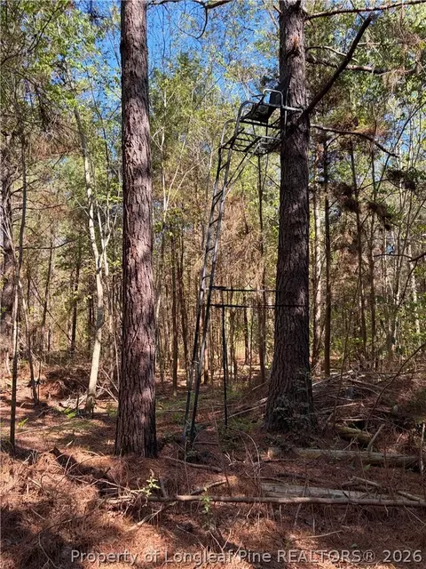 Clark Road, Maxton, NC 28364 photo 2