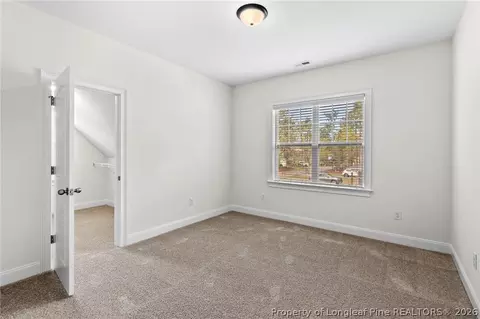 Other - 712 Bald Eagle Dr, Vass, NC 28394 photo 11 of 12