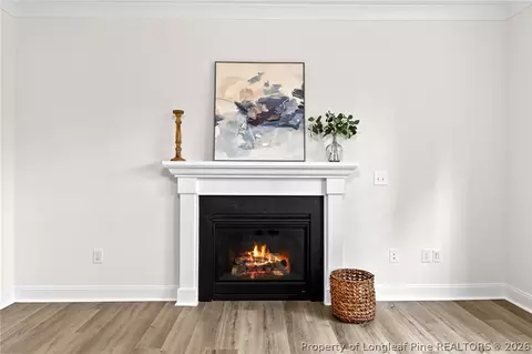 Other - 712 Bald Eagle Dr, Vass, NC 28394 photo 3 of 12