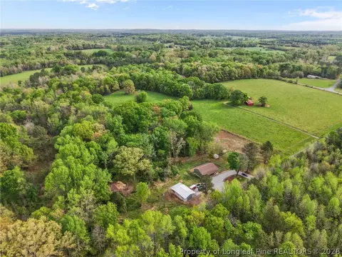 View/Area - 186 Lewis Brown Rd, Bennett, NC 27208 photo 1 of 8