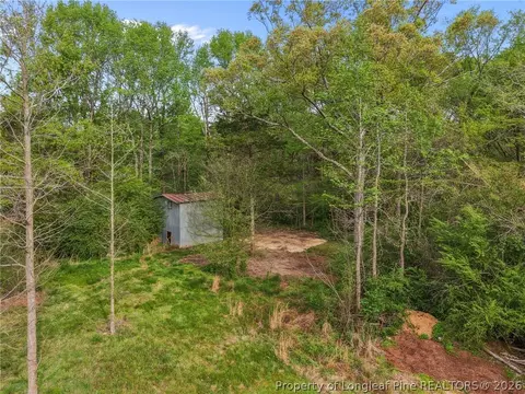 Exterior - 186 Lewis Brown Rd, Bennett, NC 27208 photo 8 of 8