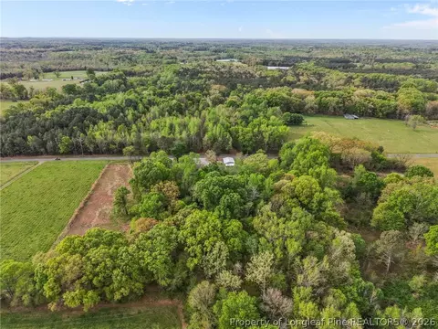 View/Area - 186 Lewis Brown Rd, Bennett, NC 27208 photo 4 of 8