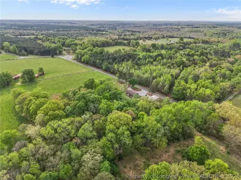 View/Area - 186 Lewis Brown Rd, Bennett, NC 27208 photo 3 of 8
